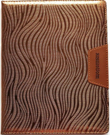 Щоденник Шкільний тверда палітурка, обкладинка Штучна шкіра, розмір 167х211 мм, 48 аркушів, дизайн - SD1509